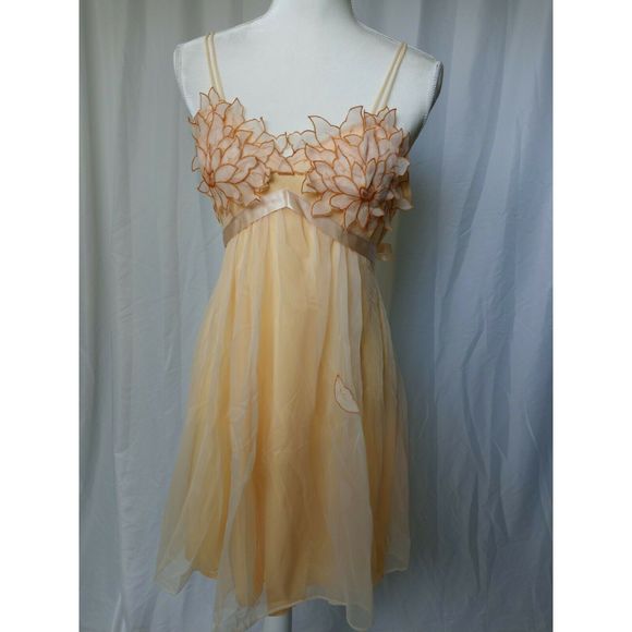 Warner's Other - Vintage Warner's 2-Piece Chiffon Nightgown Robe